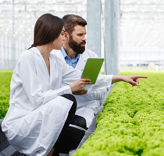 food-researchers Two food researchers inspecting herbs