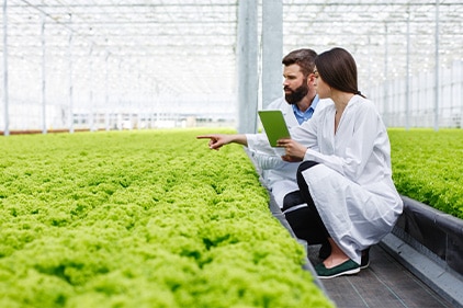 food-examination Man and woman crouched examining herbs